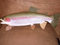 Image 1 of Replica Fish and Fishing trip