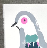 Image 2 of Pink eyed monoscreenprinted pigeon 