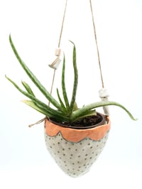 Image 2 of Hanging Planters 