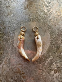 Spotted Onyx Earrings