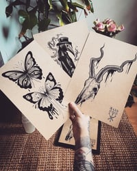Image 2 of Print Bundle