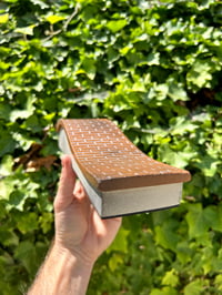 Image 2 of Mellow Wave ledge 