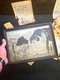 Image 3 of 1800s - Japanese collection with preserved webs. 5