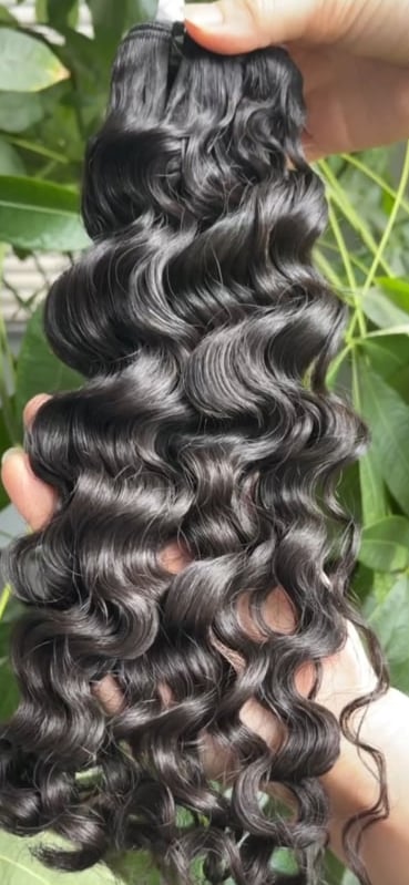 Image of  Burmese curly  hair marvelous collection