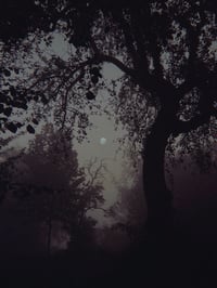 Full Moon in Scorpio