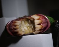 Image 2 of Mutant Pickle Pendant, big mouth, four eyes