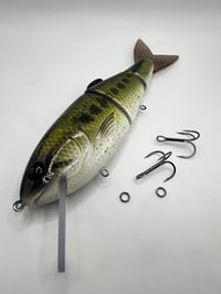 Image 1 of Nimbus Plus 5-6’