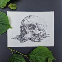 Dagaz Skull - original artwork