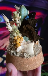 Image 3 of Swallowtail & Flourite Crystal Tower Clochè