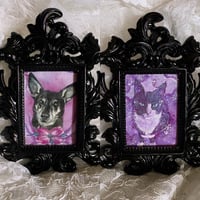 Image 4 of Pet Portrait ~ Black Ornate Frame