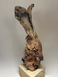 Image 5 of “William”