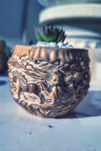 Image 2 of LadyHorse - Sempervivum (με παχύφυτο)