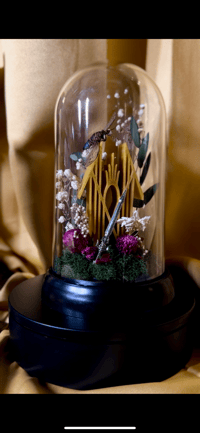 Image 1 of Sleep Cicada