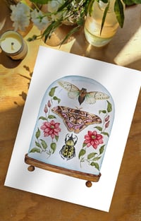 Image 4 of Insect Art Print March Dome, Under Glass Collection