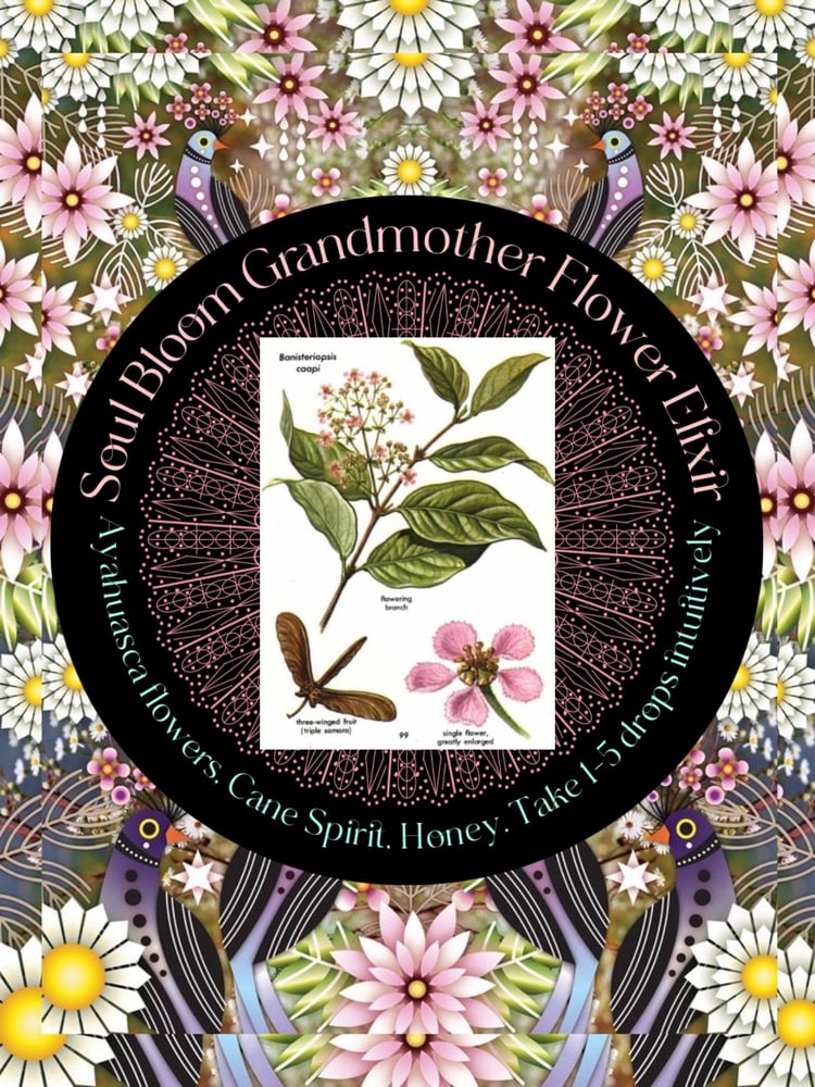 Image of Soul Bloom Madre Flower Elixir 4ml