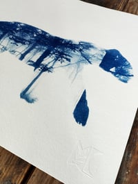 Image 3 of Cyanotype de "Camouflage"