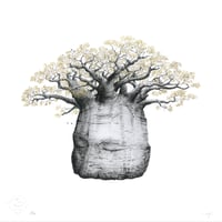 Image 1 of Shrine II