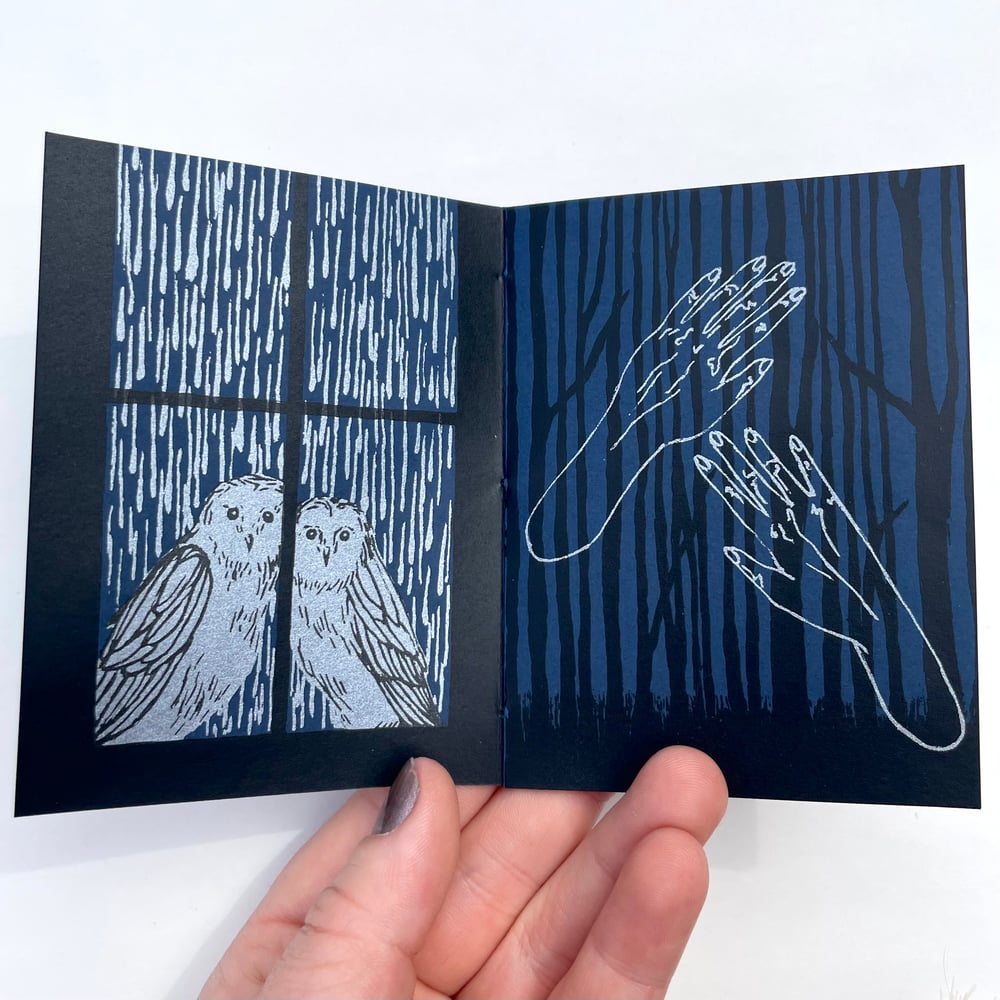 Image of Nocturne ~ screenprinted book 2nd edition