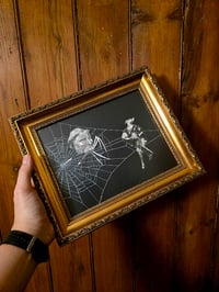 Image 1 of 1800s Gustave Dore Spiders - with real preserved webs -C