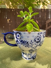Image 1 of Campfire Plant in Anthropologie Bulldog Mug