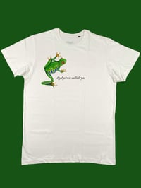 Image 1 of T-shirt RAGANELLA