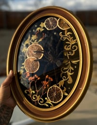 Image 2 of bittersweet bloom