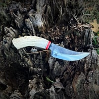 Image 1 of Skinner
