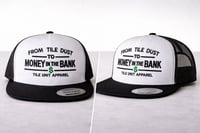Dust to Dollar SnapBack 