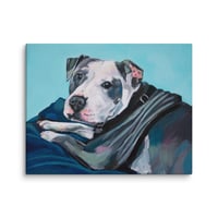 Image 2 of Lazy Pitbull