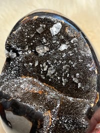 Image 3 of Septarian Egg With Calcite #2420