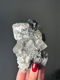 Image 3 of PHANTOM CALCITE  - LINWOOD MINE, BUFFALO, IOWA 12