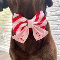 Image 5 of Candy Cane Sailor Bow / Bow Tie