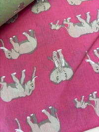 Elephants Pink