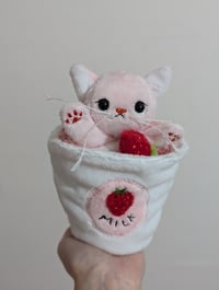 Image 1 of Susie the strawberry milk kitten