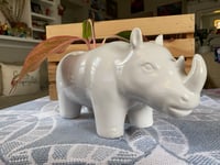 Image 3 of Red Aglaonema in White Rhino