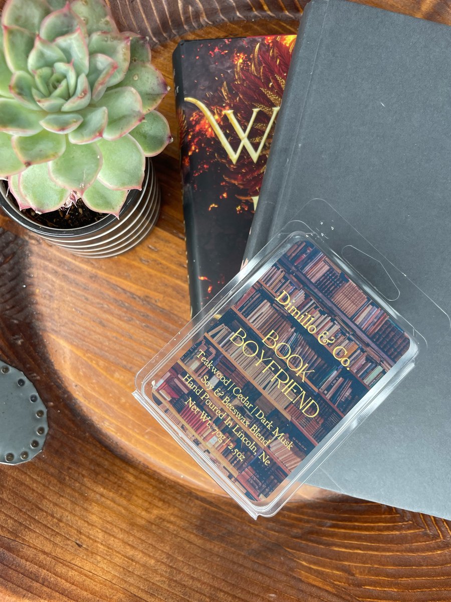 Image of Book Boyfriend | Soy & Beeswax Melt