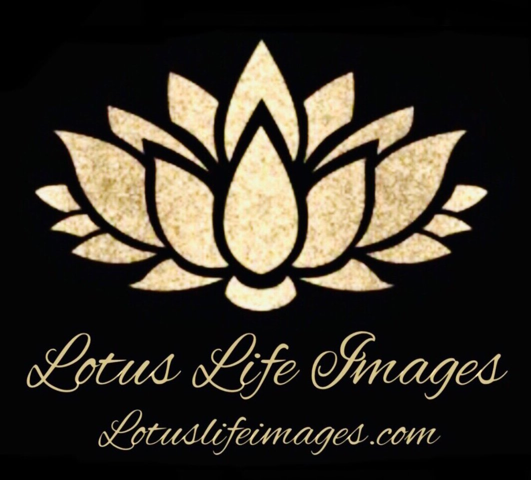 Lotus Life Images