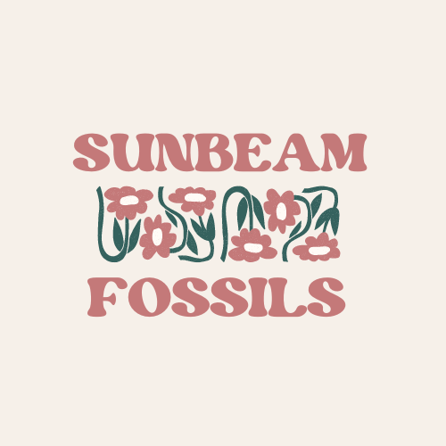 Sunbeam Fossils