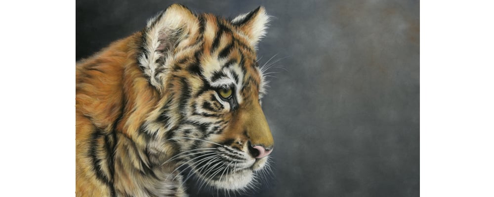 Slideshow image 2