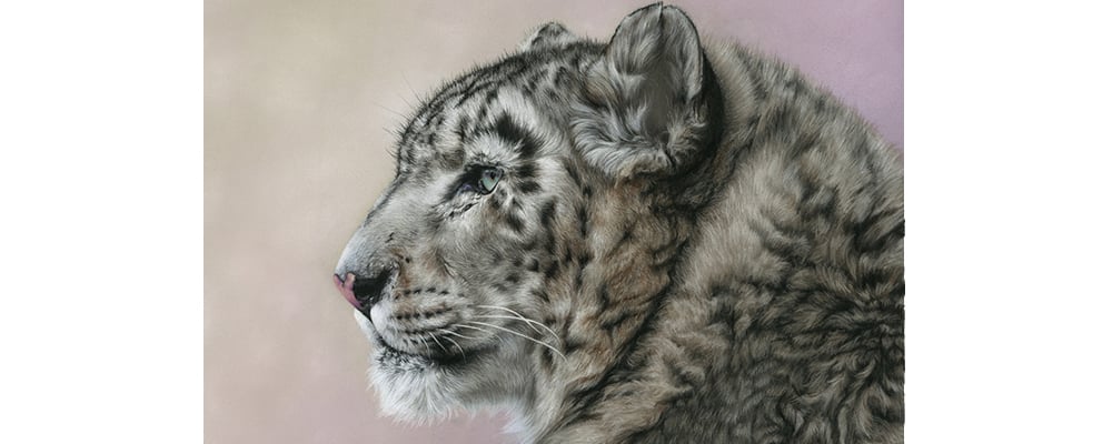 Slideshow image 6