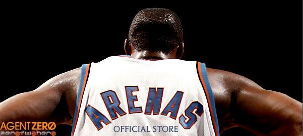 Gilbert Arenas NBA Original Autographed Items for sale