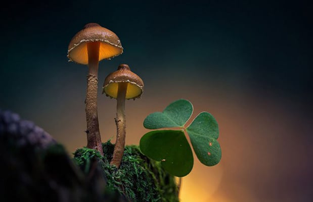 Welcome image