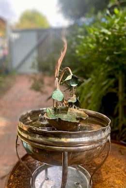 Slideshow image 3