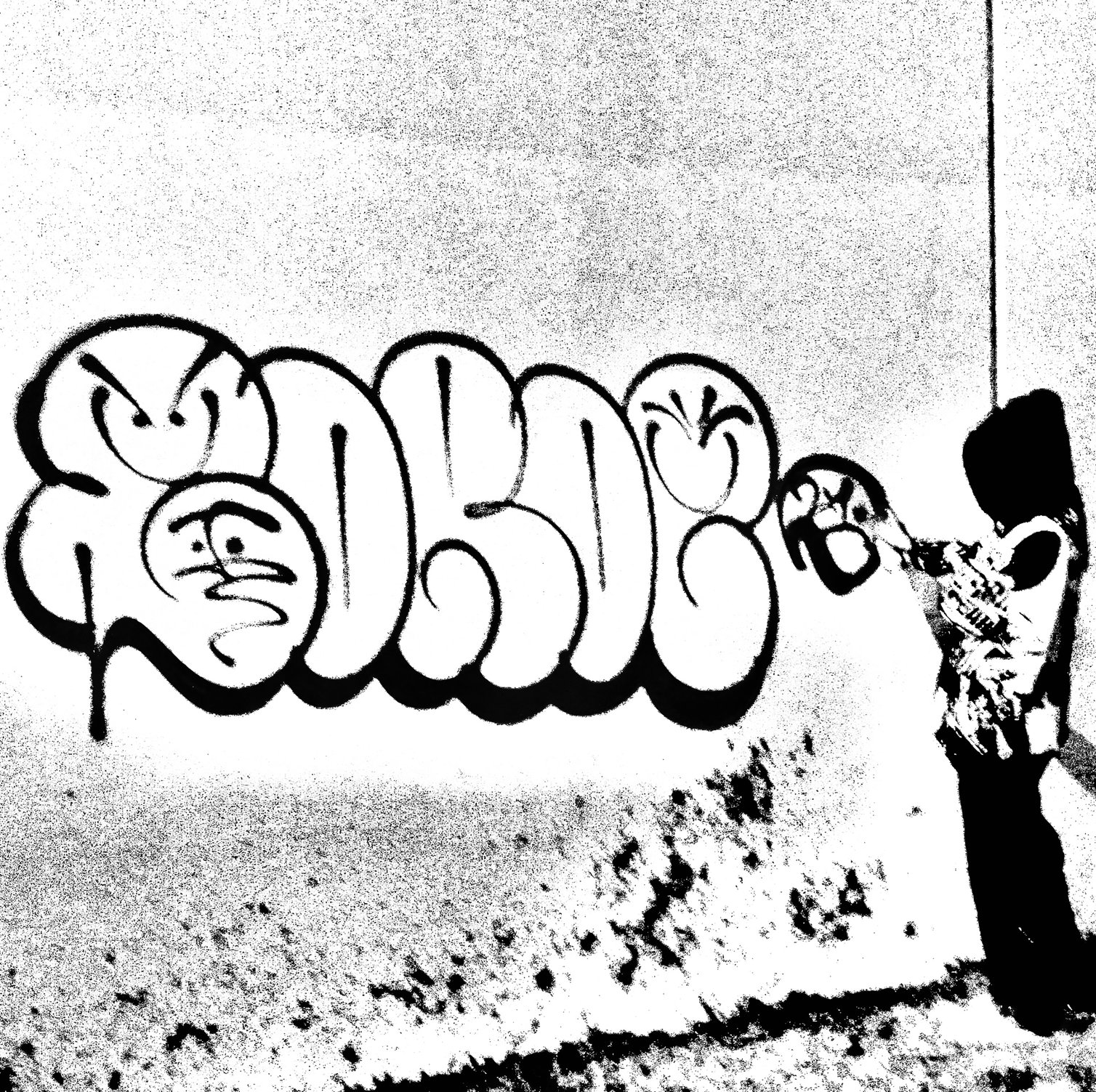 boroe1 Home