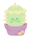 Grumpy Cactus Home