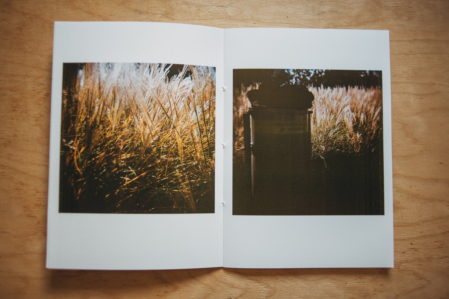 Slideshow image