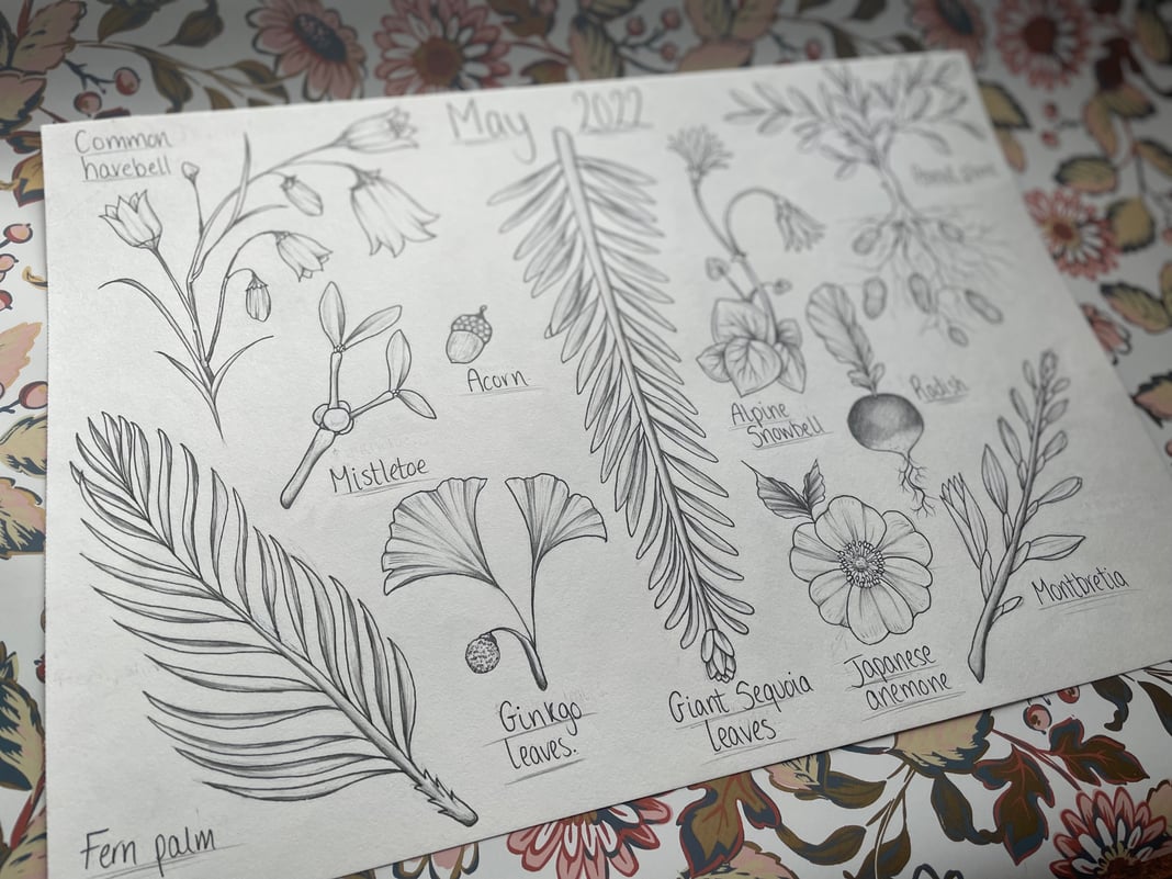 Slideshow image 5