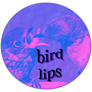 BIRD LIPS ZINE Home