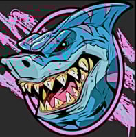 Solar Panel Cleaning 