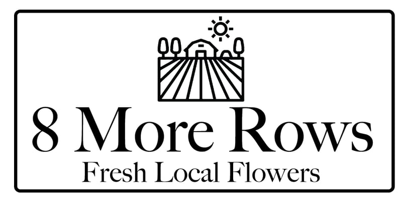 8MoreRows Home